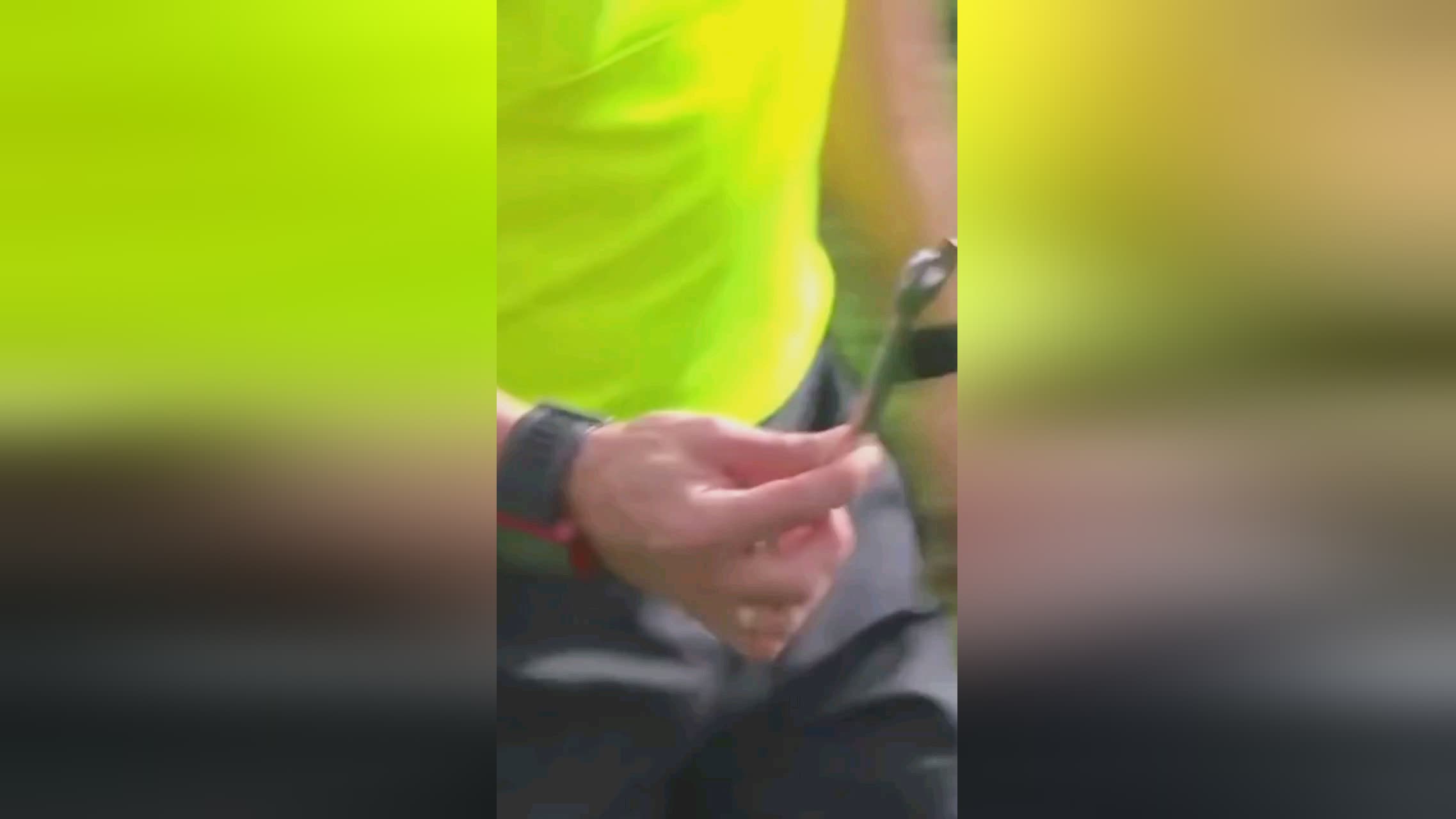 必须结