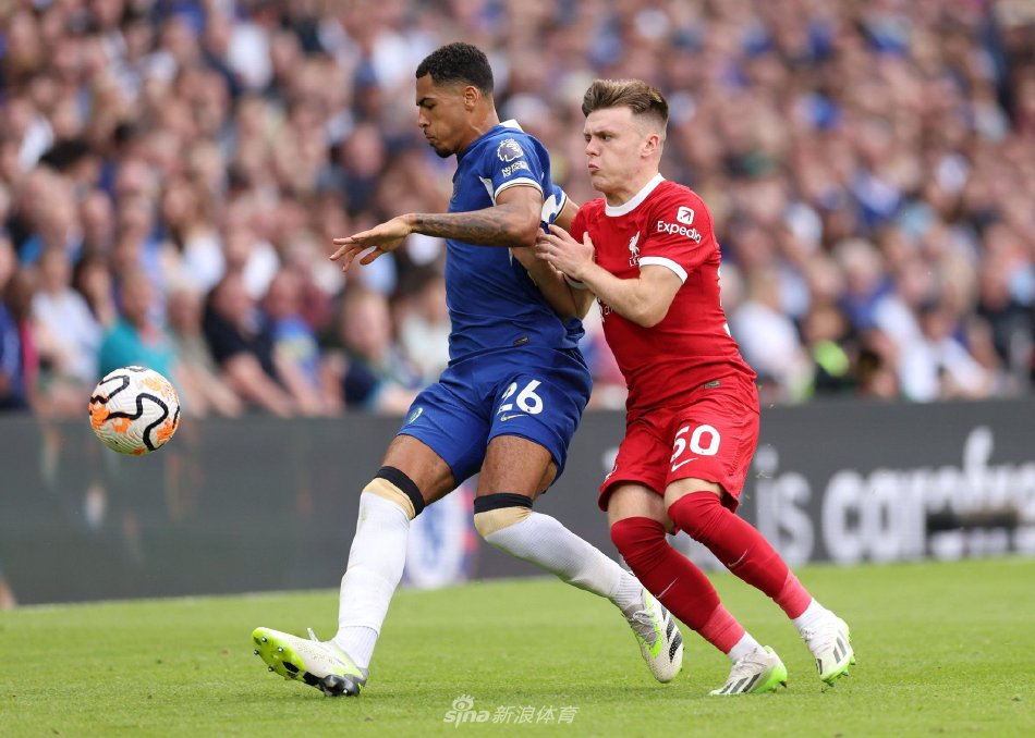 项高度依赖 项高度依赖